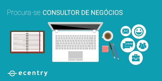 Consultor de Negcios