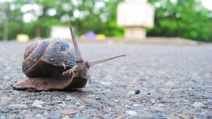 Combatiendo el 'snail mail'
