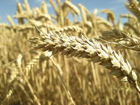 A rotina do dia a dia geralmente envolve separar o joio do trigo na sua caixa de entrada